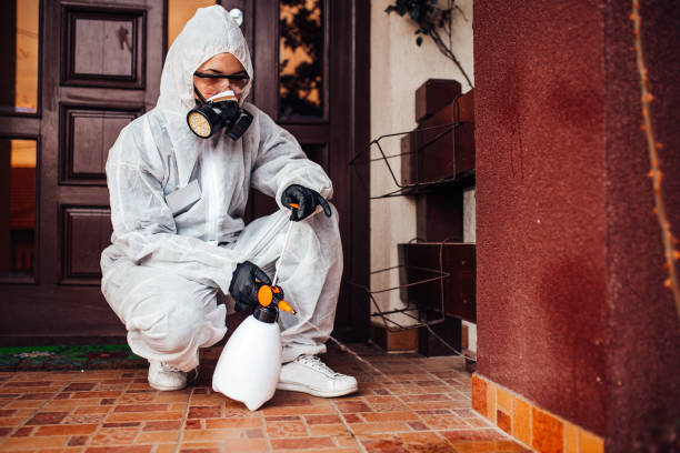 Reliable Cockroach Control contractor in Tchula, MS by Nex Pest Control